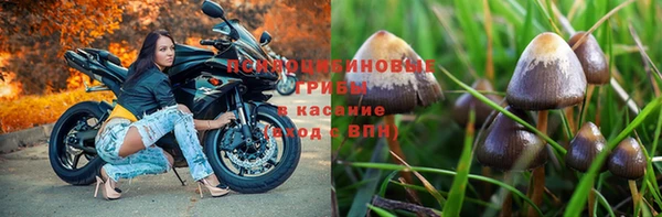 молекула духа Красноперекопск